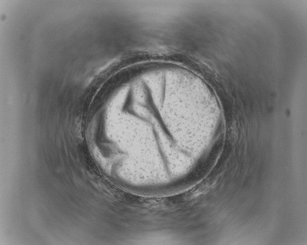 X0000089381205200707061130