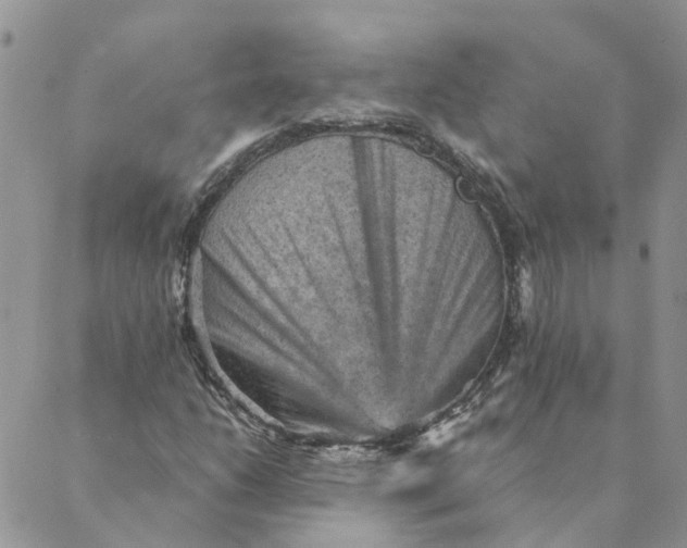 X0000089381206200707061130