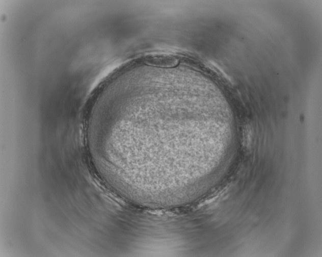 X0000089381208200707061130