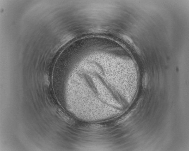 X0000089381209200707061130