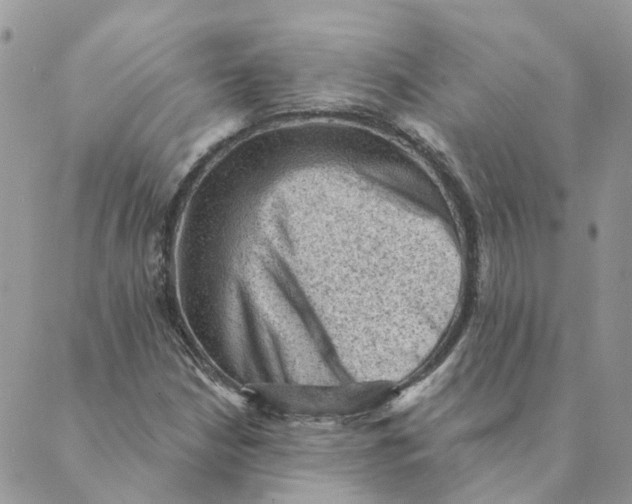 X0000089381210200707061130