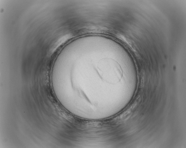 X0000089381211200707061130