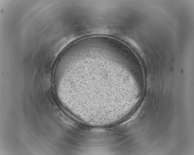 X0000089381212200707061130