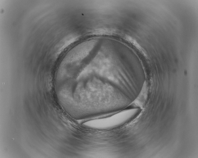 X0000089381213200707061130