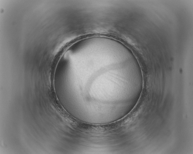 X0000089381214200707061130