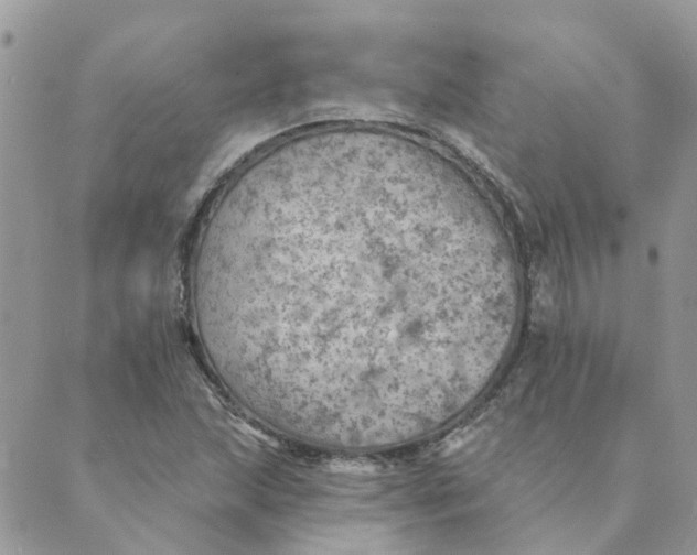 X0000089381215200707061131