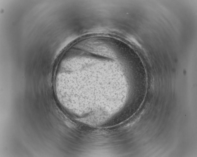 X0000089381216200707061131