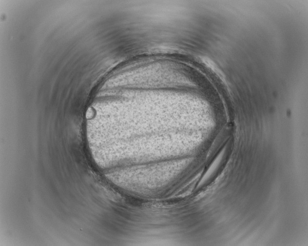 X0000089381217200707061131