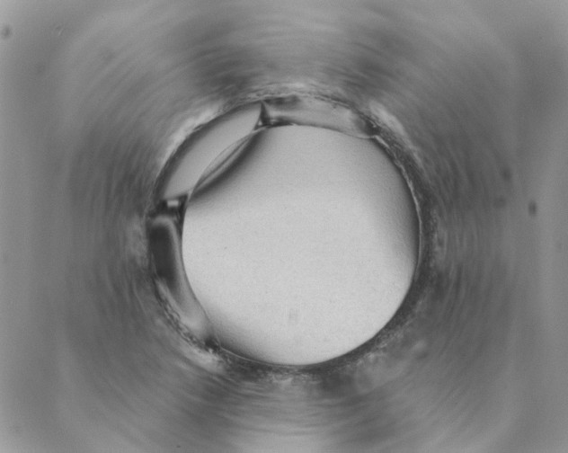 X0000089381218200707061131