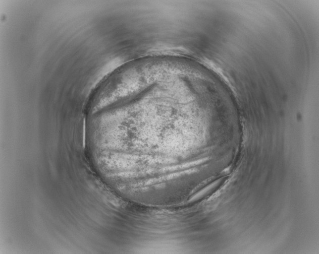 X0000089381219200707061131