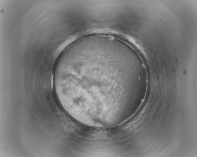 X0000089381221200707061131