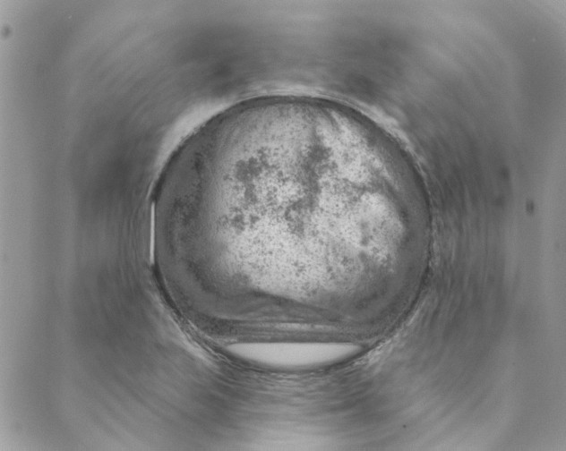 X0000089381223200707061131