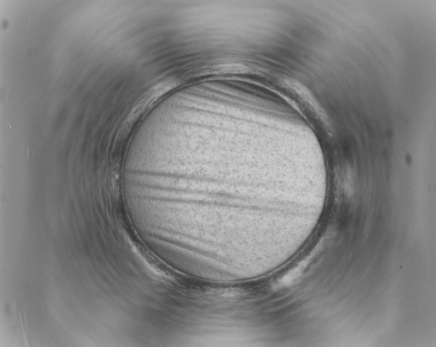 X0000089381225200707061131