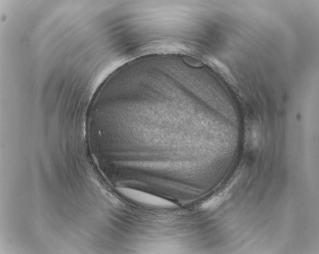 X0000089381226200707061131