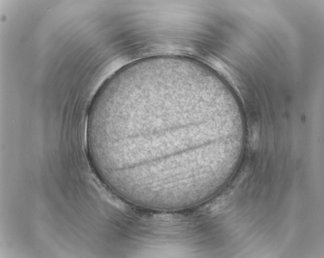 X0000089381227200707061131