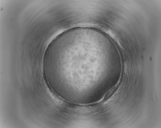 X0000089381229200707061131