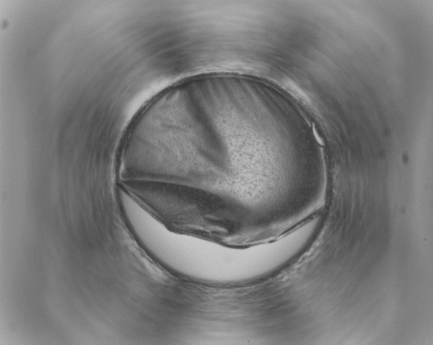 X0000089381230200707061131