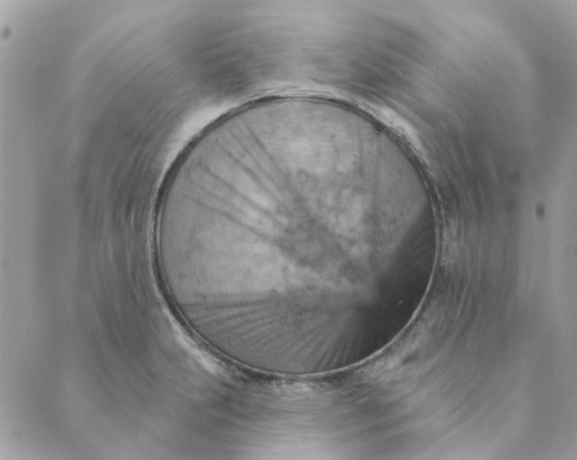 X0000089381231200707061131