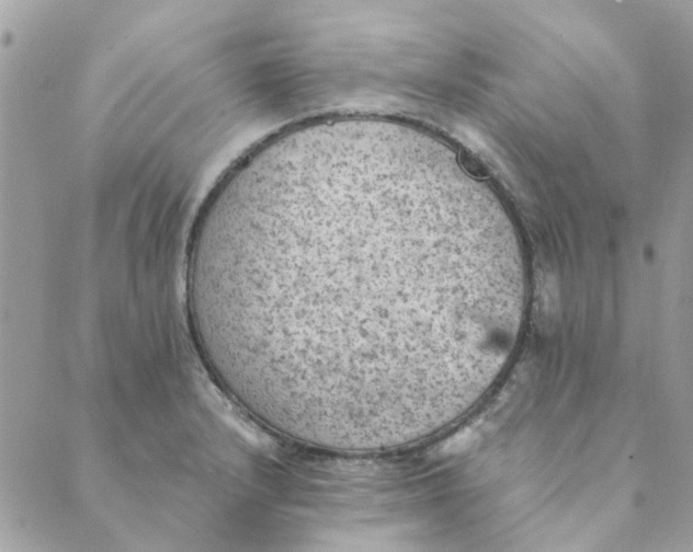 X0000089381232200707061131