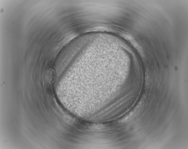 X0000089381233200707061131