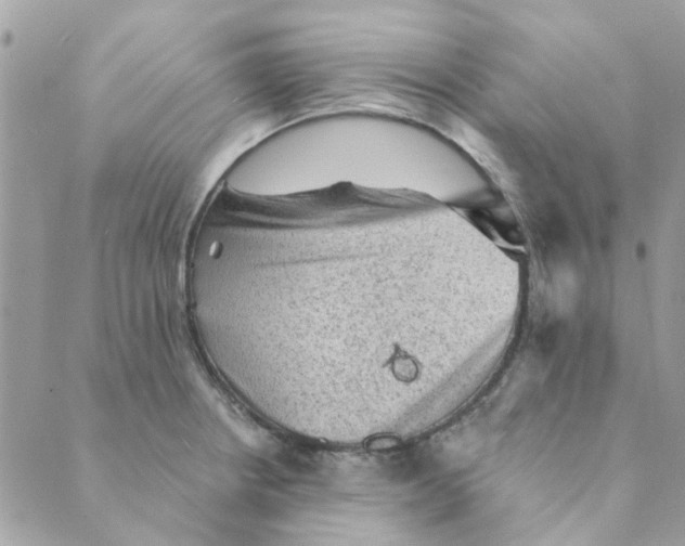 X0000089381234200707061131