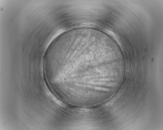 X0000089381235200707061131