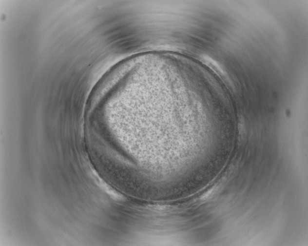 X0000089381236200707061131