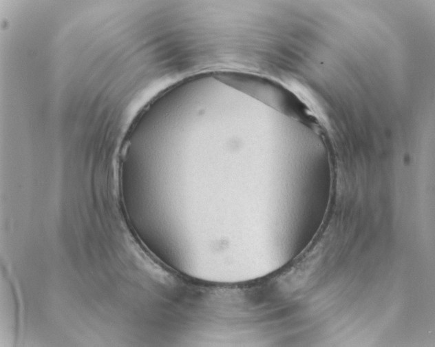 X0000089381238200707061131