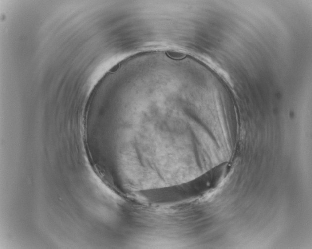 X0000089381239200707061131