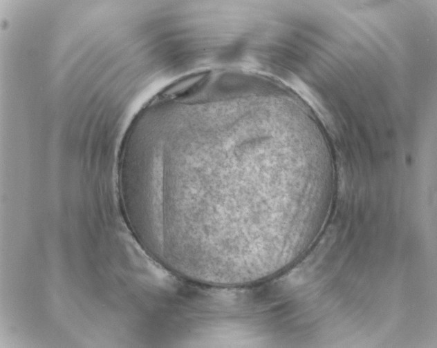 X0000089381240200707061131