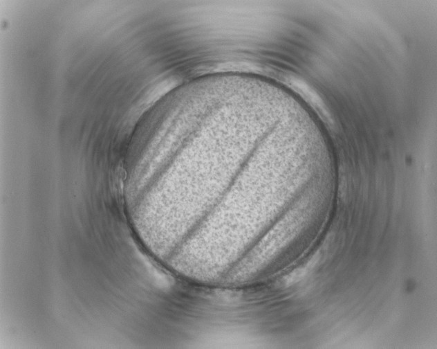 X0000089381241200707061131