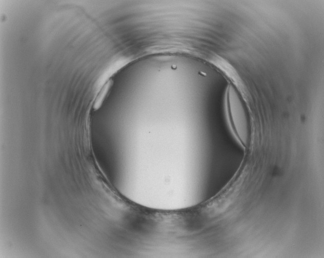 X0000089381242200707061131