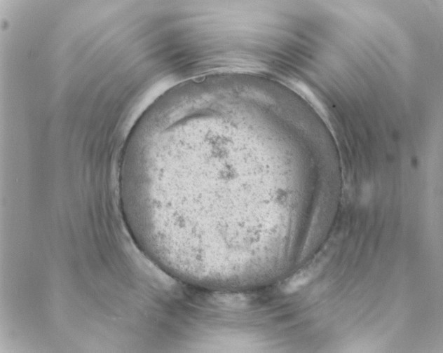 X0000089381243200707061131