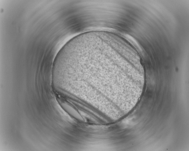 X0000089381244200707061131