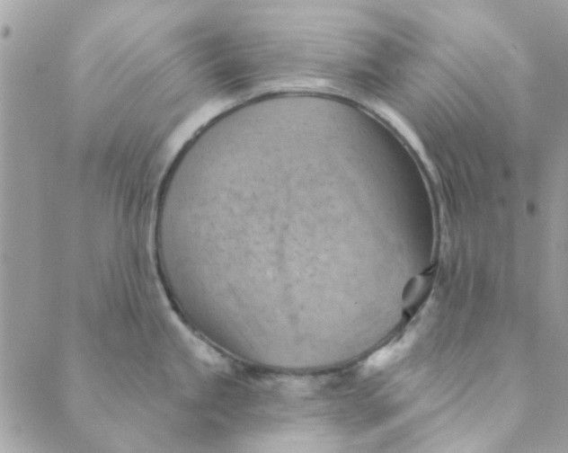 X0000089381245200707061131