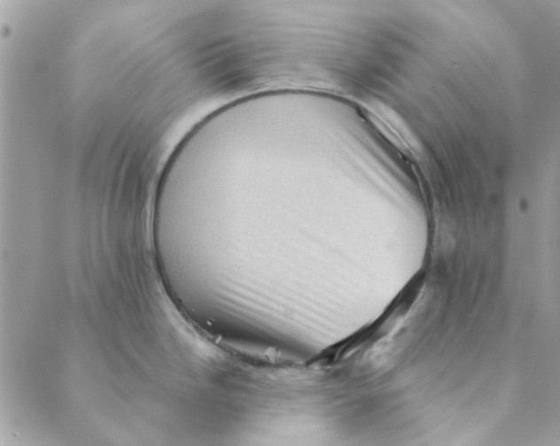 X0000089381246200707061131