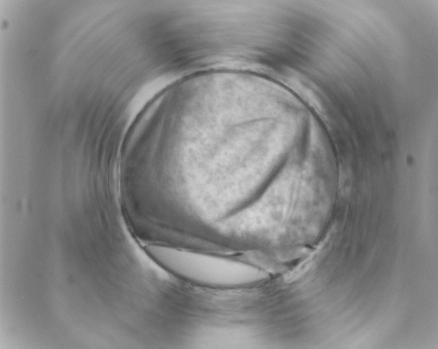 X0000089381247200707061131