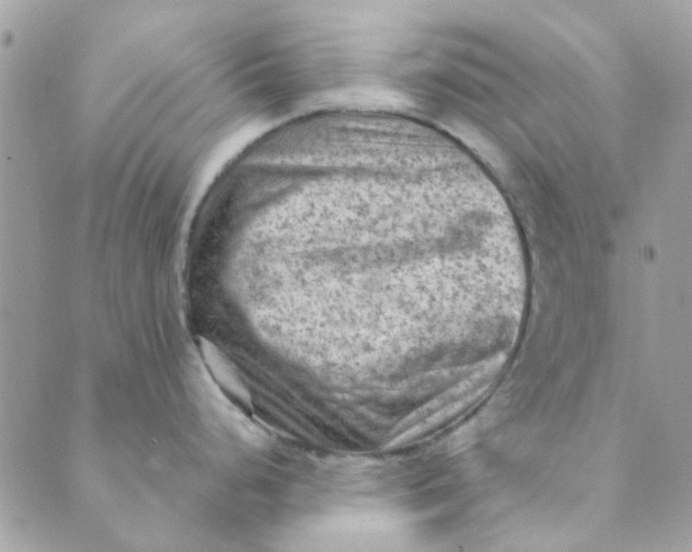 X0000089381248200707061131