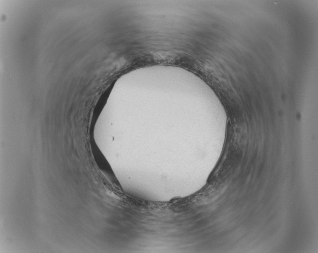 X0000089381249200707061130