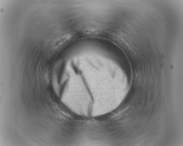 X0000089381250200707061130