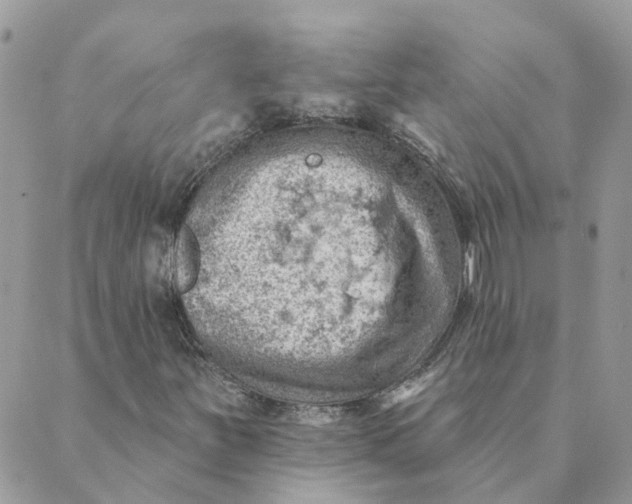 X0000089381251200707061130