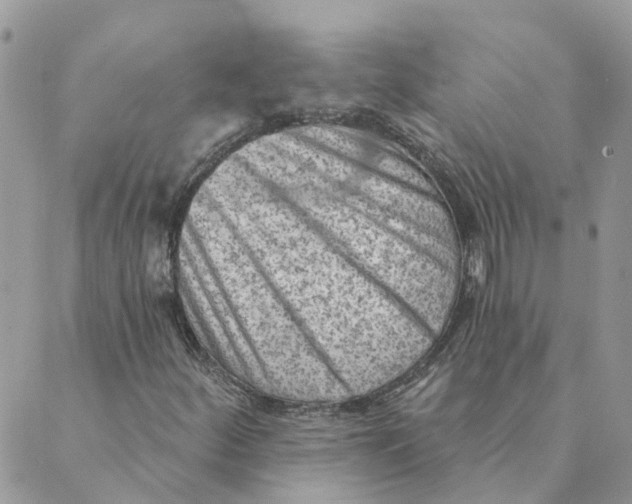 X0000089381252200707061130