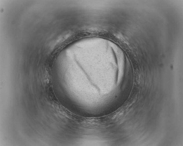 X0000089381253200707061130