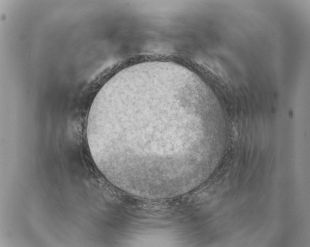 X0000089381254200707061130