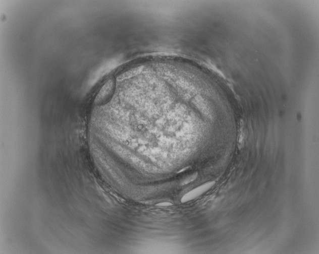 X0000089381255200707061130