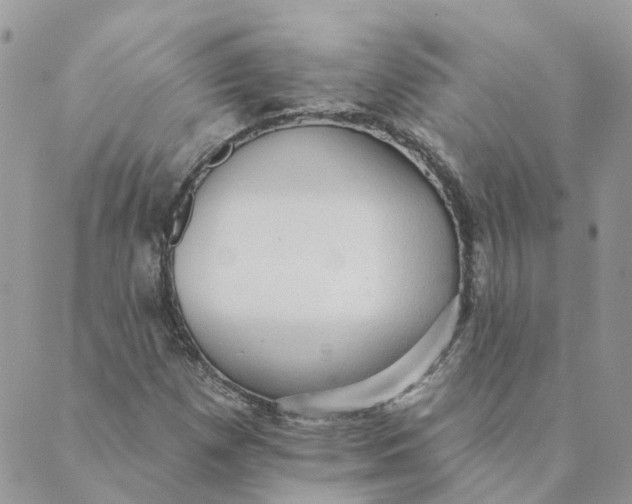 X0000089381257200707061130