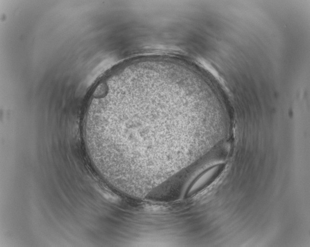 X0000089381259200707061130