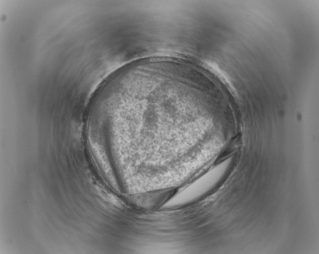 X0000089381260200707061130