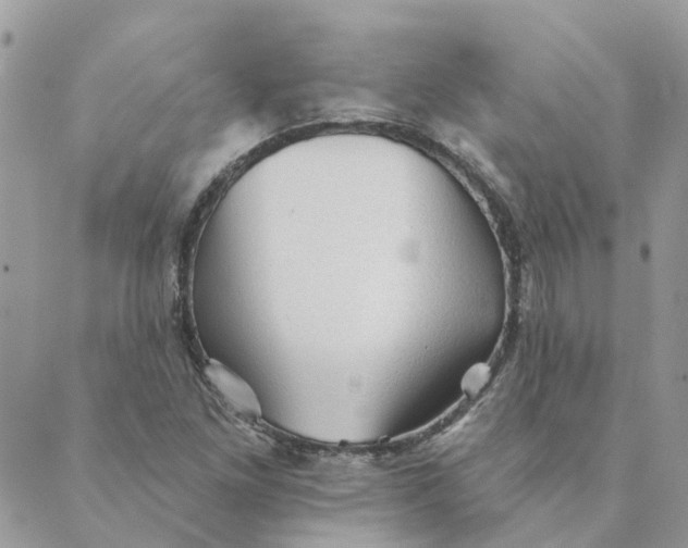 X0000089381261200707061130