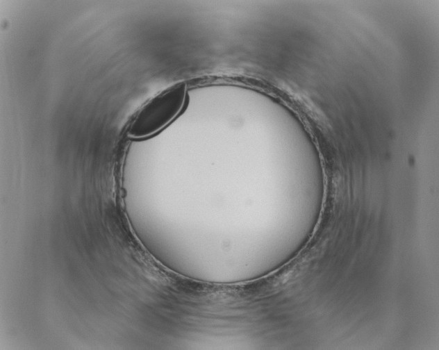 X0000089381262200707061130